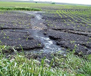 Organic Solids In Soil May Speed Up Bacterial Breathing