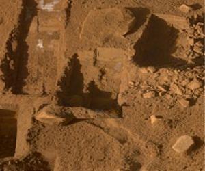 Variation of halogens in martian soil calls for an atmosphere-surface cycle