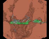 A tale of 2 (soil) cities
