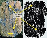 Laser reveals water's secret life in soil