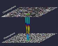 Magnetic plasma pulses excited by UK-size swirls in the solar atmosphere