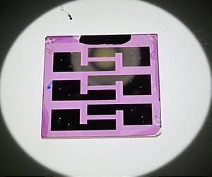 Organic polymers show sunny potential
