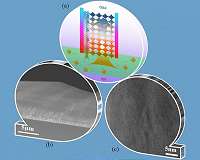 Perovskite solar cells go single crystal