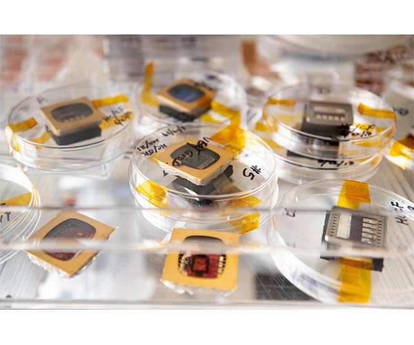 New insights into energy loss open doors for one up-and-coming solar tech
