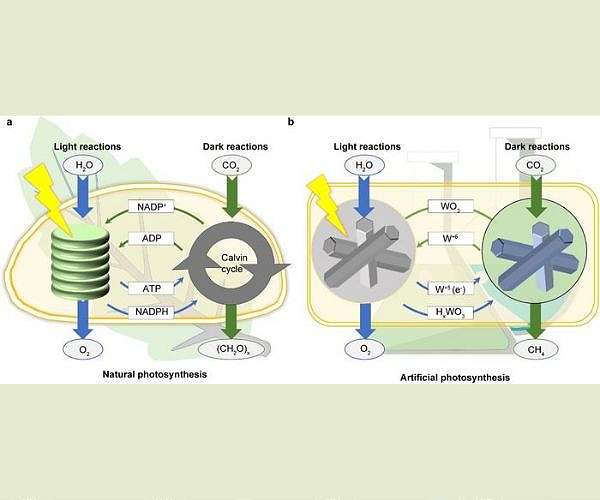 Innovative catalyst achieves continuous CO2 conversion regardless of weather conditions