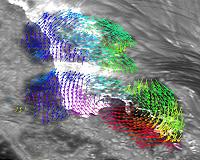 The Sun's coronal tail wags its photospheric dog