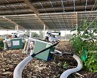 Solar panels cast shade on agriculture in a good way