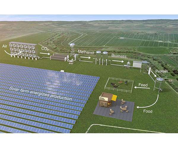Solar-powered microbes to feed the world?