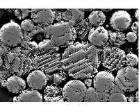 Scientists reveal solar system's oldest molecular fluids could hold the key to early life