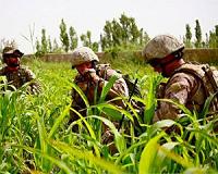 Thales granted multiple-award IDIQ contract for Army radios