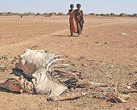 Cloaked in rags and dust, Somalis flee looming famine