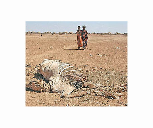UN worried about lack of funds to tackle Somalia drought