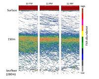 For pollock surveys in Alaska, things are looking up