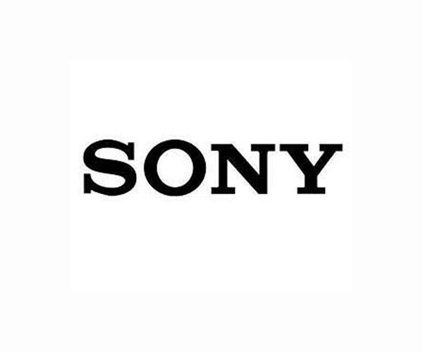 Sony buys 10% of 'Elden Ring' owner for $320 mn