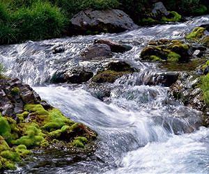 UAE to host global water conference next year