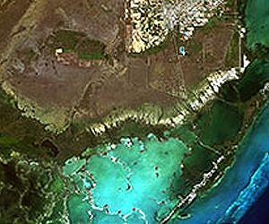 Rising Sea Levels Threaten Everglades Freshwater Plants