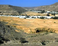 Archaeologists Trace Early Irrigation Farming In Ancient Yemen