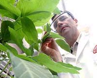 Innovation Is Essential To Increasing Energy Efficiency And Reducing Greenhouse Gas Emissions