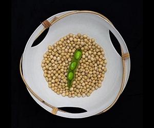 US Soy Delivers Environmental And Energy Benefits