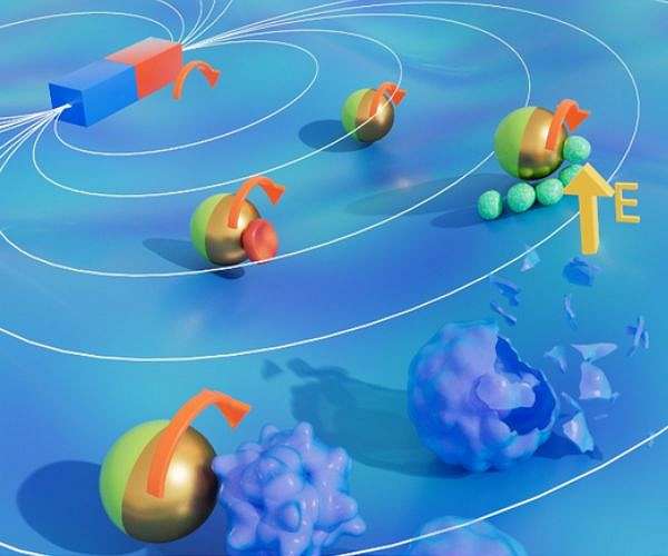 Tiny robot able to navigate in a physiological environment and capture damaged cells