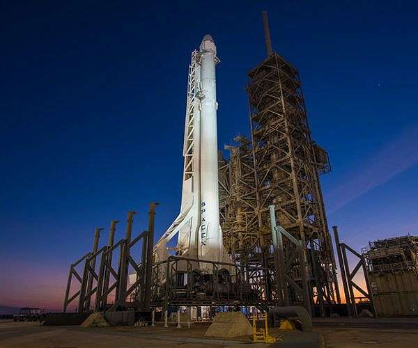 SpaceX cargo mission to carry water bears, baby squids to space station