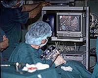 Training Key To Keyhole Surgery Meeting EU Time Directives