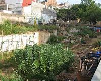 Urban land could grow fruit and veg for 15 per cent of the population, research shows