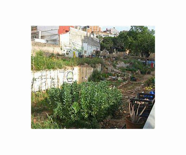 From grey to green: world cities uprooting the urban jungle