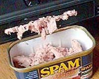 US Spam King New Slick Face Of Cyber Crime