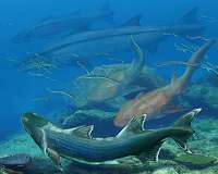 Ancient southern China fish may have evolved prior to the 'Age of Fish'