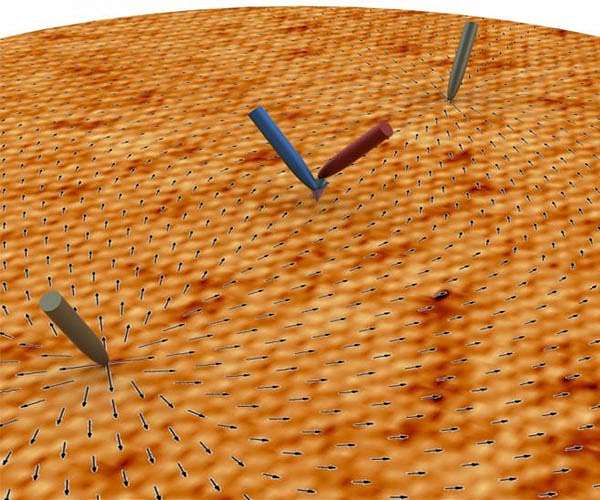Using shallow shadows to uncover quantum properties