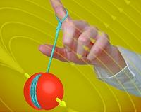 Disney tops and yo-yos with stable spins despite asymmetric shapes