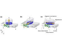 A new-structure magnetic memory device developed
