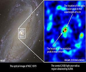 Unique Chemical Composition Surrounding Supermassive Black Hole