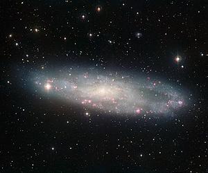 The Dusty Disc Of NGC 247