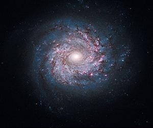 Pinwheel Of Star Birth