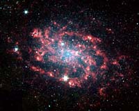 Watching Galaxies Grow Old Gracefully