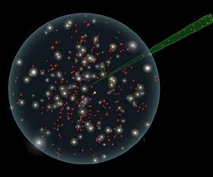 The Coolest Stars Come Out Of The Dark