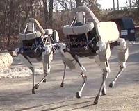 Robots are learning to fall with grace