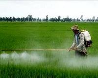 Entomologists update definitions to tackle resistance to biotech crops and pesticides