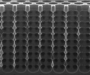 Building 3D Structures from a 2D Template