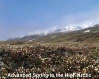 Arctic Spring Comes Weeks Earlier Than A Decade Ago