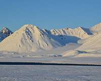 Microbial colonizers of Arctic soils are sensitive to future climate change