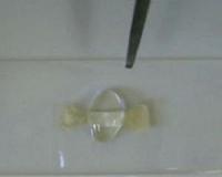 Water heals a bioplastic