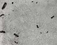 Lightweight metal foam blocks blastwave, debris from high-explosive rounds