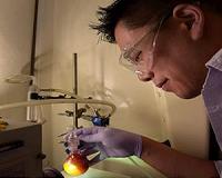Dirt-cheap catalyst may lower fuel costs for hydrogen-powered cars