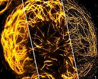 Microscopy in HD quality