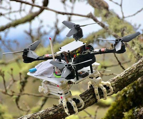 Stanford engineers create perching bird-like robot