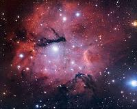 A Stellar Birthplace Shaped and Destroyed by Energetic Offspring