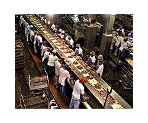 Japan, detractors trade barbs on eve of tuna debate